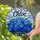 Deep Sapphire Blue Hydrangea Stained Glass Mosaic with 'Chloe' Name & Mottled Background Stained Glass Suncatcher - 1