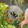 Fuzzy Bumblebee Daisy Flowers Tiffany Stained Glass Mosaic - Glowing Window Stained Glass Suncatcher - 1