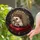 Fluffy Hedgehog Golden Crown Stained Glass Art - Intricate Jewel Tone Cushion Mosaic Stained Glass Suncatcher - 1