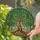 Tree of Life Stained Glass Artwork - Tiffany Style Jewel Tone Gnarled Roots Emerald Green Stained Glass Suncatcher - 1