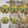 Vibrant Saguaro Cactus Desert Sunset Mosaic Cacti Succulents Stained Glass Design Stained Glass Suncatcher - 4