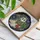 Stained Glass Ghost Monstera Plant Tiffany Style Fenestrated Leaves Terracotta Pot Stained Glass Suncatcher - 3