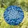 Delicate Forget-Me-Not Flowers Stained Glass Art - Glowing Tiffany Blue Teal Mosaic Stained Glass Suncatcher - 2