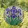 Tiffany Stained Glass Iris Flowers - Blooming Petals, Jewel Tones, Green Leaves Mosaic Art Stained Glass Suncatcher - 2