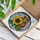Groundhog Holding Sunflower Stained Glass Art - Tiffany Style Window Panel Decor Stained Glass Suncatcher - 3