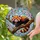 Red Panda Pink Blossoms Stained Glass Tiffany Design - Intricate Mosaic Sky Window Panel Stained Glass Suncatcher - 1