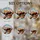Red Panda Pink Blossoms Stained Glass Tiffany Design - Intricate Mosaic Sky Window Panel Stained Glass Suncatcher - 4