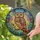 Vibrant Stylized Owl Tiffany Stained Glass Forest Canopy Moon Stars Collectible Stained Glass Suncatcher - 1