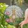 Light Brown Tan Rabbit Pink Lotus Flowers Stained Glass Tiffany Style Intricate Mosaic Stained Glass Suncatcher - 1