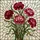 Colorful Stained Glass Carnation Flowers Bouquet - Tiffany Style Intricate Floral Art Stained Glass Suncatcher - 5