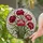 Colorful Stained Glass Carnation Flowers Bouquet - Tiffany Style Intricate Floral Art Stained Glass Suncatcher - 1