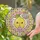 Kawaii Lemon Birthday Cake Disco Ball Stained Glass Mosaic Circle for Birthday Present Stained Glass Suncatcher - 1