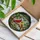 Male Red Cardinal Female Yellow Cardinal Stained Glass Tiffany Style Mosaic Art Stained Glass Suncatcher - 3