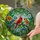 Three Songbirds Cardinal on Leafy Branch - Stained Glass Jewel Tones Flowers Berries Art Stained Glass Suncatcher - 1