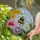 Bumblebee Flower Stained Glass Sky Mosaic - Tiffany Style Jewel Tone Art Stained Glass Suncatcher - 1