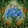 Tiffany Floral Blue White Flower Mosaic Stained Glass Art Dappled Foliage Jewel Tone Stained Glass Suncatcher - 5