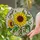 Large Yellow Sunflower Tiffany Stained Glass Floral Mosaic Purple Pink Flower Buds Green Leaves Stained Glass Suncatcher - 1