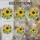 Large Yellow Sunflower Tiffany Stained Glass Floral Mosaic Purple Pink Flower Buds Green Leaves Stained Glass Suncatcher - 4