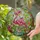 Flamingo Tropical Flowers Tiffany Stained Glass - Detailed Jungle Garden Home Decor Stained Glass Suncatcher - 1