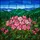 Blooming Pink Mountain Laurel Tiffany Stained Glass - Forested Mountain Peaks Scenery Stained Glass Suncatcher - 5