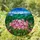 Blooming Pink Mountain Laurel Tiffany Stained Glass - Forested Mountain Peaks Scenery Stained Glass Suncatcher - 2