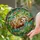 Sleeping Sloth Tiffany Stained Glass - Intricate Tropical Jungle Canopy Art in Jewel Tones Stained Glass Suncatcher - 1