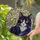 Curious Tuxedo Cat Stained Glass Mosaic - Bright Yellow Eyes, Pink Nose, Tiffany Style Stained Glass Suncatcher - 1