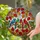 Vibrant Tiffany Stained Glass Songbirds Cardinal Autumn Leaves Berries Mosaic Art Stained Glass Suncatcher - 1