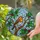 Robin Bird Stained Glass Art - Tiffany Style Mosaic with Red Berries, Green Leaves Stained Glass Suncatcher - 1