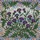 Vibrant Thistle Flowers Tiffany Stained Glass Mosaic - Glowing Purple Green Art Decor Stained Glass Suncatcher - 5