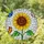 Sunflower Butterfly Stained Glass Art - Intricate Tiffany Style Mosaic Clear Textured Glass Stained Glass Suncatcher - 2