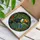 Toucan Tropical Jungle Tiffany Stained Glass Art - Exotic Window Panel Home Decor Gift Stained Glass Suncatcher - 3