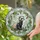 Ferret Stained Glass Tiffany Style - Green Leaf Red Berry Flower Mosaic Art Decor Stained Glass Suncatcher - 1