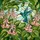 Detailed Hummingbird Blossom Flower Tiffany Stained Glass - Jewel Tone Nature Garden Gift Stained Glass Suncatcher - 5