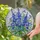 Vibrant Blue Wildflowers Green Foliage Tiffany Stained Glass Mosaic Art Luminous Jewel Tones Stained Glass Suncatcher - 1