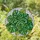 Monstera Deliciosa Leaf Stained Glass Mosaic - Tropical Emerald Green Tiffany Style Art Stained Glass Suncatcher - 2