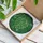 Monstera Leaf Stained Glass Artwork - Intricate Tropical Foliage Botanical Tiffany Art Stained Glass Suncatcher - 3