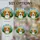 Tri-Color Beagle Dog Stained Glass Evergreen Trees Hills Sun Tiffany Style Stained Glass Suncatcher - 4
