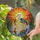 Great Blue Heron Stained Glass Sunset - Wildlife Fish Reeds Cattails Jewel Tone Art Stained Glass Suncatcher - 1