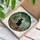 Black Cat Bookshelf Stained Glass Window Art with Books & Plants - Tiffany Jewel Tones Stained Glass Suncatcher - 3