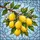 Tiffany Style Lemon Blossoms Green Leaves Sky Mosaic Stained Glass Window Art Decor Stained Glass Suncatcher - 5