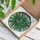 Tiffany Style Stained Glass Fern Fronds Suncatcher - Intricate Botanical Mosaic Art Stained Glass Suncatcher - 3