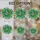 Tiffany Style Stained Glass Fern Fronds Suncatcher - Intricate Botanical Mosaic Art Stained Glass Suncatcher - 4