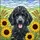 Black Standard Poodle Sunflowers Wheat Tiffany Glass Countryside Dog Lover Gift Stained Glass Suncatcher - 5