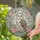 Majestic Barn Owl Pink Peony Flowers - Tiffany Style Stained Glass Window Art Decor Stained Glass Suncatcher - 1