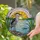 Black-crowned Night Heron Stained Glass Marsh Reeds River Stone Waterscape Sunrise Stained Glass Suncatcher - 1