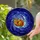 Tiffany Stained Glass Cat Crescent Moon Cosmic Celestial Sky Art - Home Decor Gift for Cat Lovers Stained Glass Suncatcher - 1