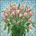Vibrant Pink Peach Tulips Stained Glass Mosaic Art - Highly Detailed Tiffany Jewel Tones Stained Glass Suncatcher - 5