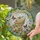 Bearded Dragon Stained Glass Butterflies Floral Wreath Eddie Name Tiffany Mosaic Ice Pattern Stained Glass Suncatcher - 1