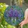 Lupine Flowers Bouquet Mason Jar Tiffany Glass Style - Detailed Jewel Tone Mosaic Art Stained Glass Suncatcher - 1